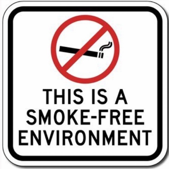 Dino Dinosaur Kids Toothbrush Holder Multi Purpose Non Breakable Storage Green - Picture 9 of 13